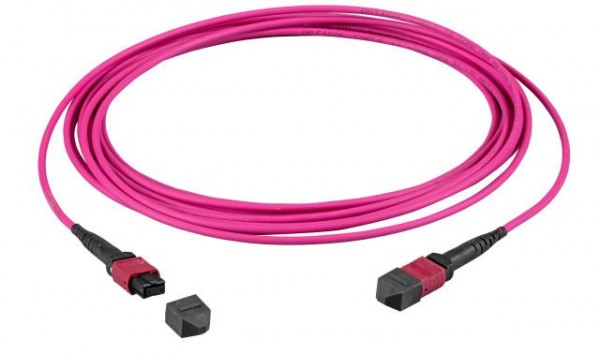 LWL-MTP®-Female Patchkabel OM4 LowLoss, 12 Faser, Typ B crossed, erika-violett, 2m