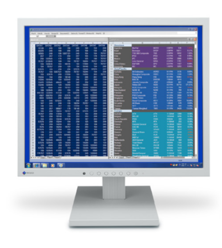 Eizo S1703-A-H-GY Monitor FlexScan 17"