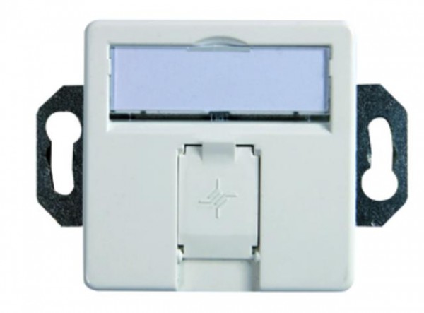 Dosen TP,UP,2-fach,CAT6A,AW,10Gbit,Bodentankieinbau, AMJ45