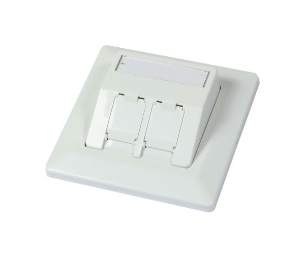 Dosen TP, UP, 2-fach, CAT6A, Keystone, Reinweiss, Synergy 21