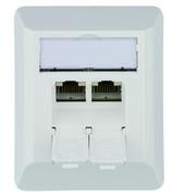 Dosen TP,AP,2-fach,CAT6A,AW,10Gbit,AMJ45-8/8, Telegärtner