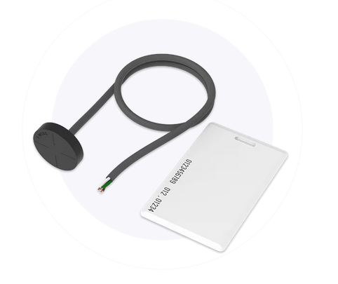 Teltonika Lector RFID 1-Wire