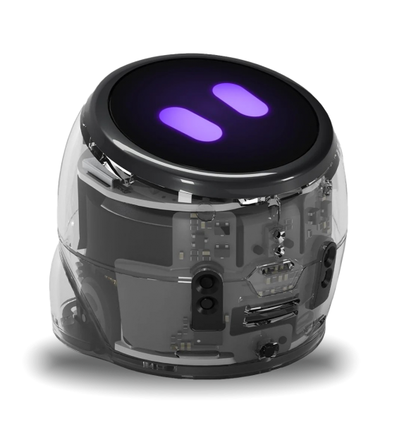 Ozobot Ari Entry Kit