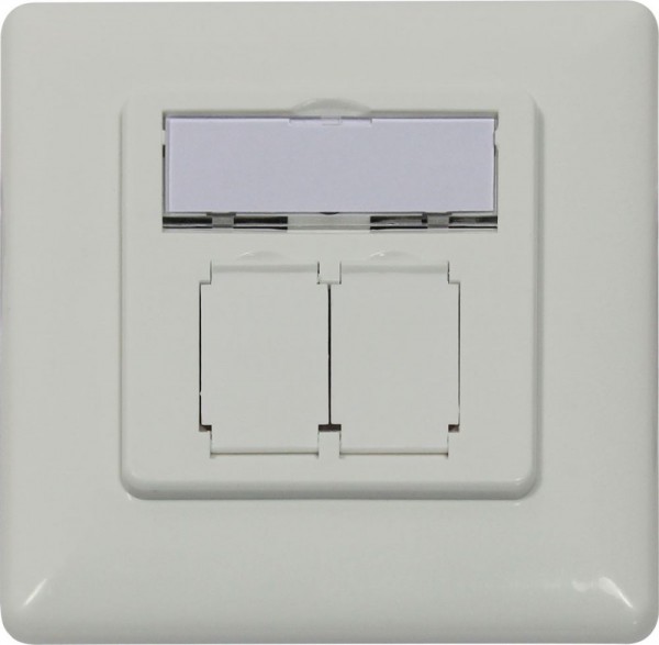 Dosen TP, UP, 2-fach, CAT6A, Keystone, Reinweiss, Synergy 21