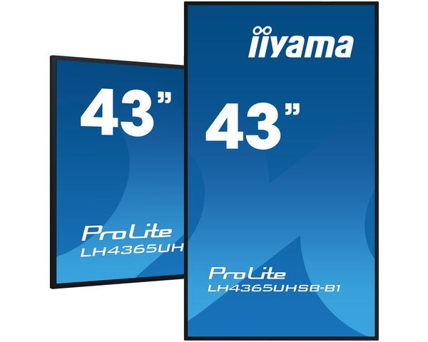 iiyama Prolite Pantalla de 43" 4K, negro