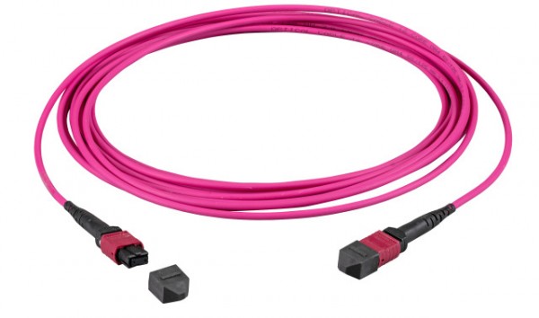 LWL-MTP®-Female Patchkabel OM4 LowLoss, 12 Faser, Typ A 1:1, erika-violett, 5m