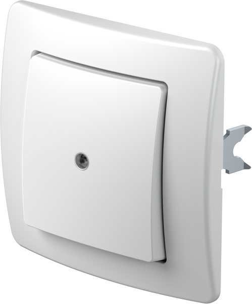 TEM Series Ekonomik SWITCH 1WAY10AX 250V~ PW IN