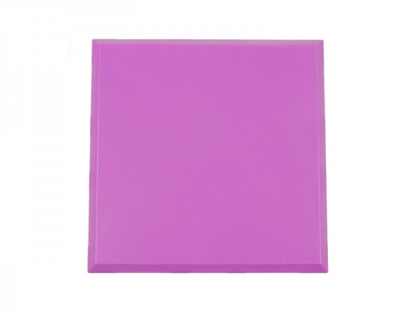 ALLNET Brick’R’knowledge Carcasa violeta 2x2 Pack de 10uds