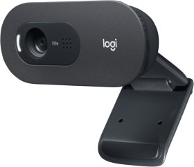 Logitech C505e Cámara web HD