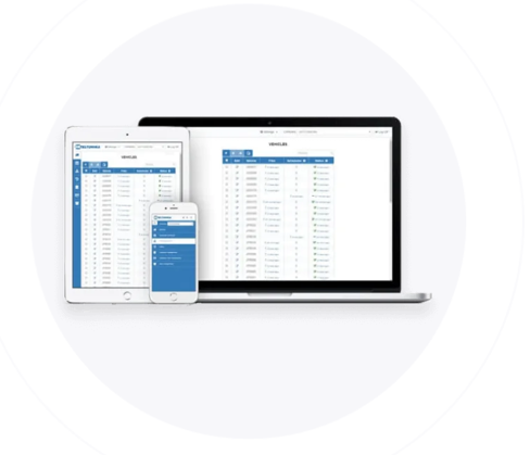Teltonika WebTacho Lifetime