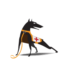 CommScope WatchDog End User Support Renewal for Unleashed AP no Advance rep, 3 Years