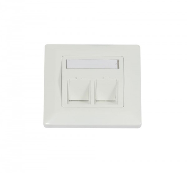 Dosen TP, UP, 2-fach, CAT6A, Keystone, Reinweiss, Synergy 21